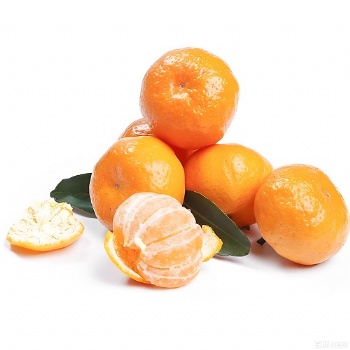 Fresh Mandarin orange